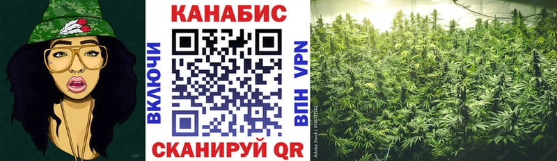 Бошки Шишки Bruce Banner  Купить где  Шуя 
